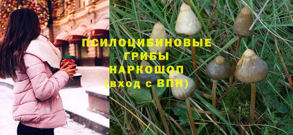 прущие крисы Коряжма
