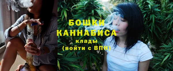 прущие крисы Коряжма