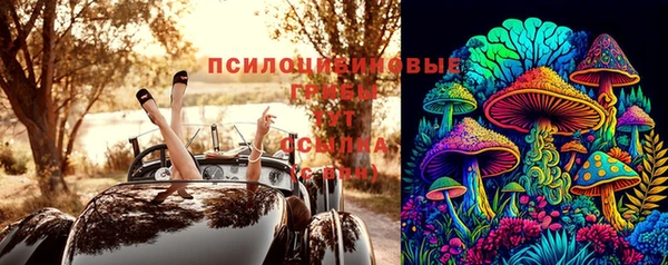 экстази Корсаков