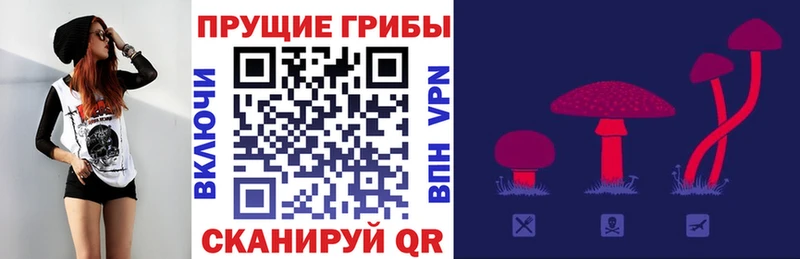 Галлюциногенные грибы Cubensis  Купить  Беломорск 